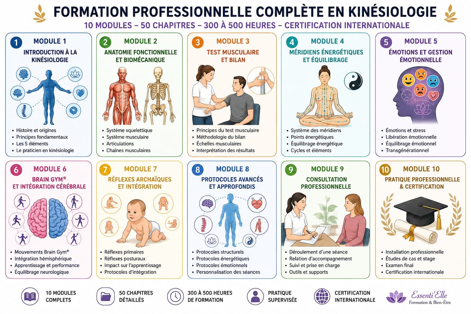 Formation professionnelle complète en Kinésiologie
