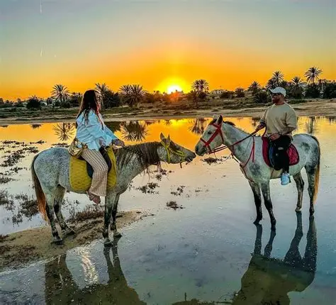 Balade à cheval à Djerba
