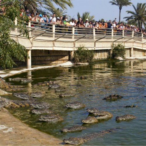 Djerba Crocodile Parc